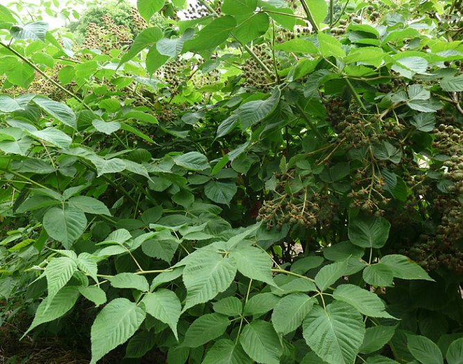 Höchste Zeit (Foto: privat) Höchste Zeit (Foto: privat)