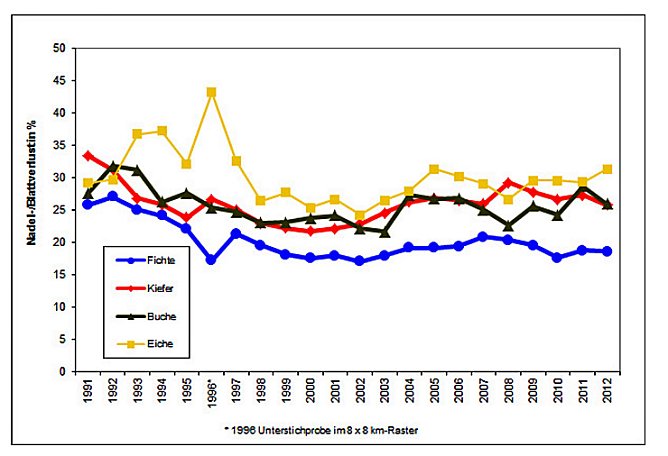 Waldschadenserhebung  (Foto: Hans-J&uuml;rgen Schmidt)