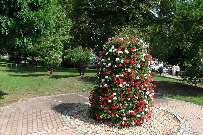 Flucht in den Schatten, (Foto: Karl-Heinz Herrmann)