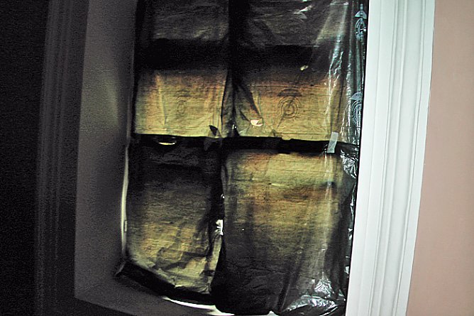 Gesang der Wale und mehr (Foto: Karl-Heinz Herrmann)