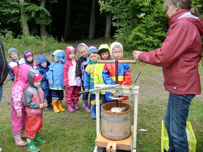 Motto Streuobstwiese (Foto: Kita Abenteuerland)