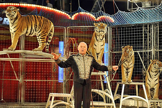 Der Zirkus kommt! (Foto: Zirkus Probst) Der Zirkus kommt! (Foto: Zirkus Probst)