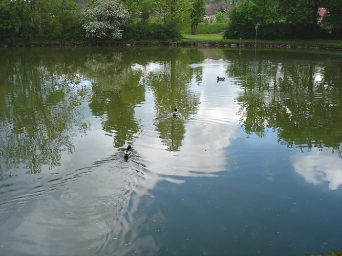 Gro&szlig;er Parkteich Sondershausen (Foto: Karl-Heinz Herrmann)