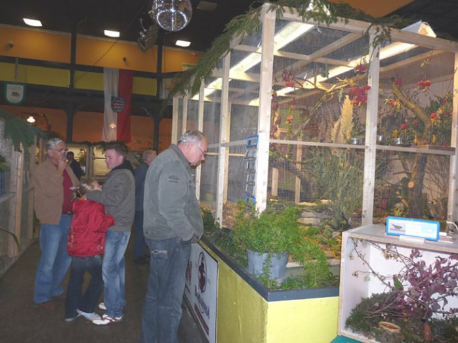 Ziergefl&uuml;gelausstellung (Foto: Karl-Heinz Herrmann)