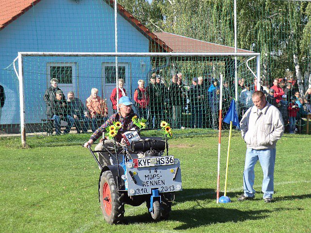 Möpse unterwegs (Foto: Kerstin Oswald) Möpse unterwegs (Foto: Kerstin Oswald)