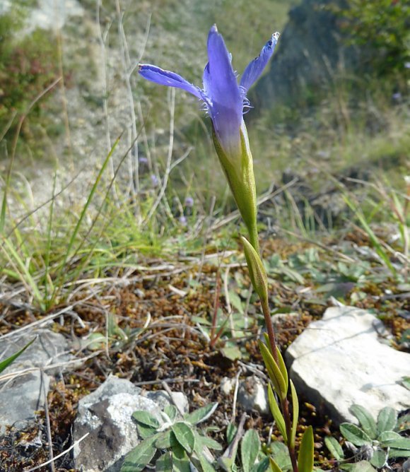 In der Hohen Schrecke (Foto: Claudia Barnkoth) In der Hohen Schrecke (Foto: Claudia Barnkoth)