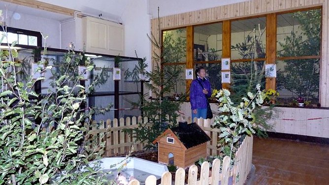 Sehenswerte Ausstellung (Foto: Peter M&ouml;bius)