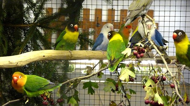 Sehenswerte Ausstellung (Foto: Peter M&ouml;bius)