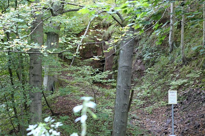 Am Braunsteinhaus (Foto: nnz)