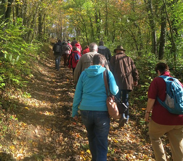 Durch die hohe Schrecke (Foto: Hohe Schrecke) Durch die hohe Schrecke (Foto: Hohe Schrecke)
