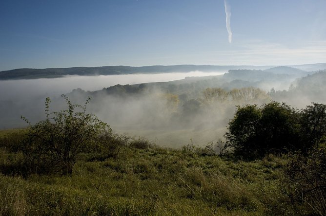 Faszinierende Naturaufnahmen (Foto: Thomas Stephan)