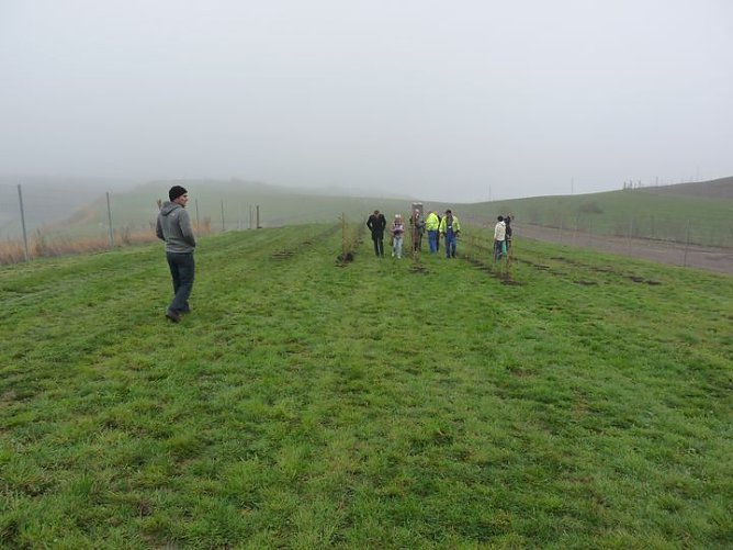 Begr&uuml;nung der R&uuml;ckstandshalde (Foto: Karl-Heinz Herrmann)