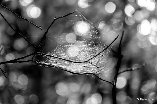 Wetter-Bild (Foto: Gernot Thelemann) Wetter-Bild (Foto: Gernot Thelemann)