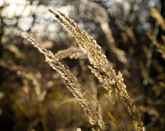 Wetter-Bild (Foto: Gernot Thelemann) Wetter-Bild (Foto: Gernot Thelemann)