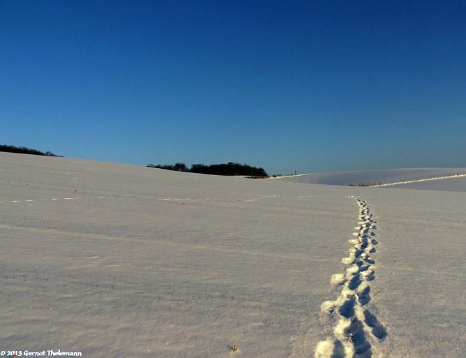 Wetter-Bild (Foto: Gernot Thelemann) Wetter-Bild (Foto: Gernot Thelemann)