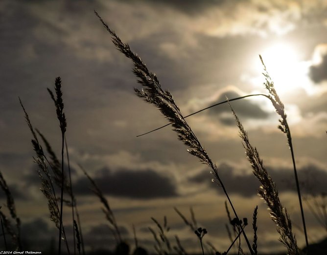 Wetter-Bild (Foto: Gernot Thelemann)