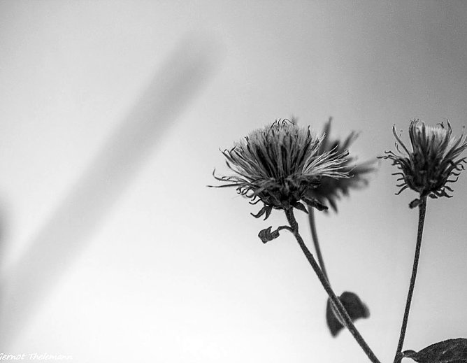 Wetter-Bild (Foto: Gernot Thelemann) Wetter-Bild (Foto: Gernot Thelemann)