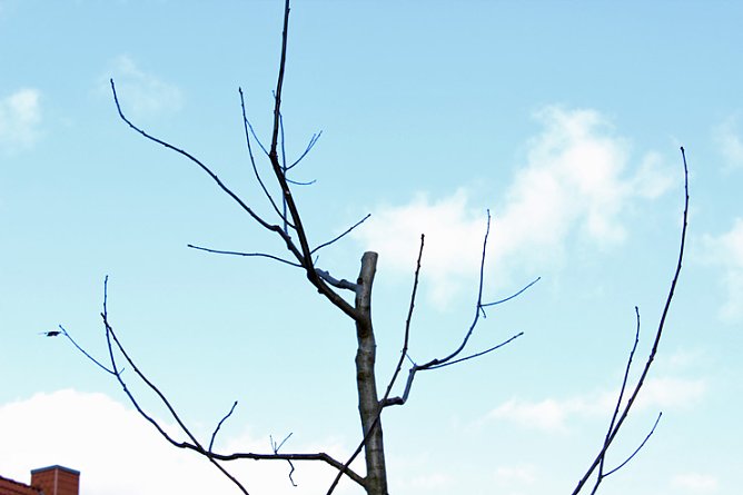 Vandalen am Gottesacker (Foto: Karl-Heinz Herrmann)