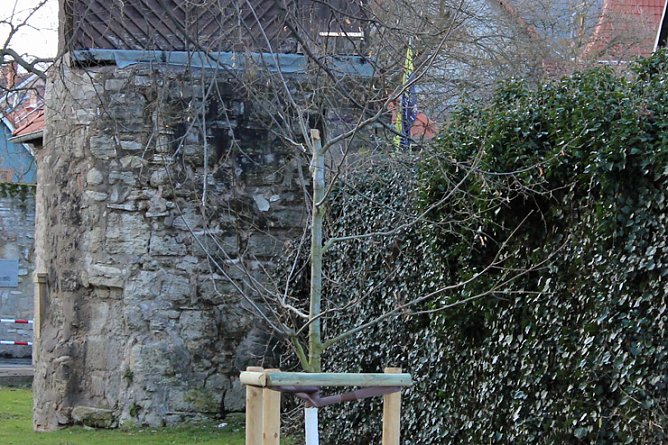 Vandalen am Gottesacker (Foto: Karl-Heinz Herrmann)