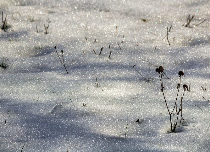 Ist das ein Winter... (Foto: Gernot Thelemann)