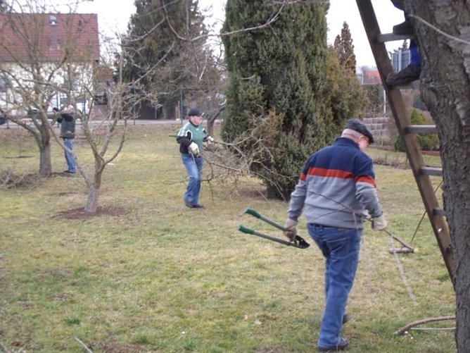 Baumschnitt im Kita-Projektgarten (Foto: Thomas Leipold)