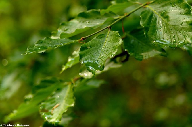 Wetter-Bild (Foto: Gernot Thelemann)