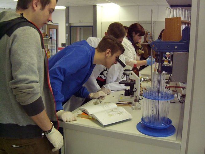 Tag der offenen Tür (Foto: Paracelsus Schule) Tag der offenen Tür (Foto: Paracelsus Schule)