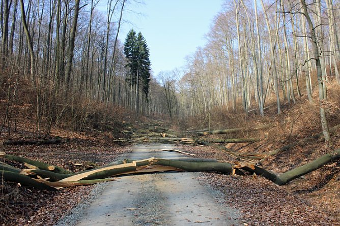 Neues aus Sondershausen (Foto: Karl-Heinz Herrmann)