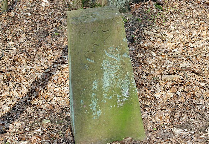 Was nicht alles blüht! (Foto: Karl-Heinz Herrmann) Was nicht alles blüht! (Foto: Karl-Heinz Herrmann)