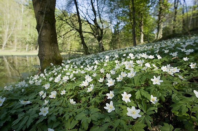 Der Natur auf der Spur (Foto: Thomas Stephan)