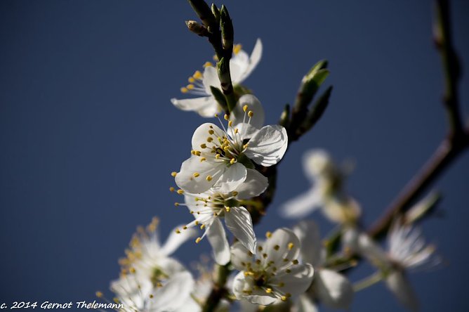Wetter-Bild (Foto: Gernot Thelemann)