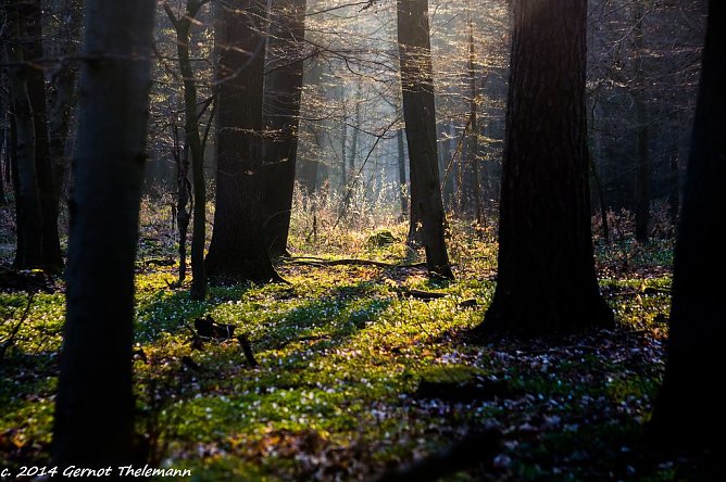 Wetter-Bild (Foto: Gernot Thelemann) Wetter-Bild (Foto: Gernot Thelemann)