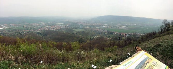 Dies und das aus der Region (Foto: Privat)