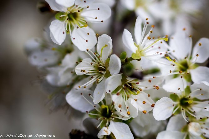 Wetter-Bild (Foto: Gernot Thelemann)