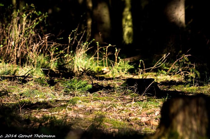 Wetter-Bild (Foto: Gernot Thelemann) Wetter-Bild (Foto: Gernot Thelemann)