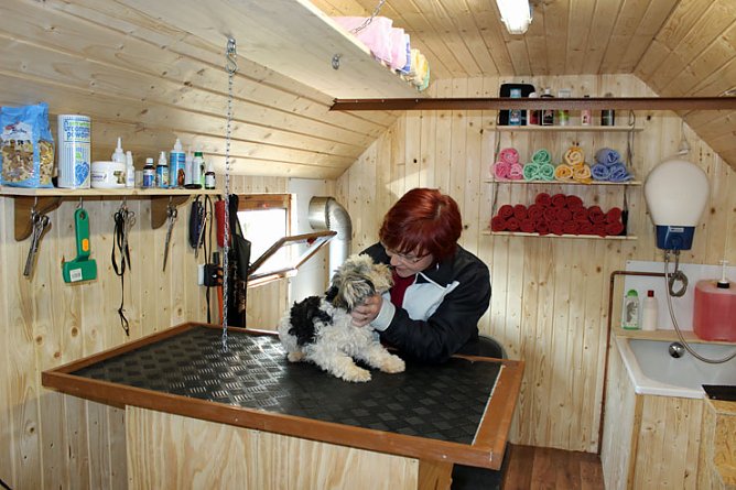 Hundesalon im Zirkuswagen (Foto: Karl-Heinz Herrmann)