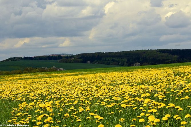 Wetter-Bild (Foto: Gernot Thelemann) Wetter-Bild (Foto: Gernot Thelemann)