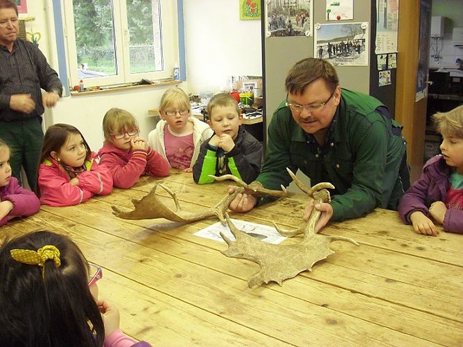 Das Damwild auf dem Rathsfeld (Foto: Stadt Bad Frankenhausen)