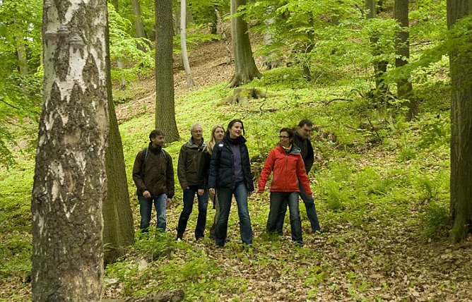 Hohe Schrecke Erlebnistag (Foto: Thomas Stephan) Hohe Schrecke Erlebnistag (Foto: Thomas Stephan)