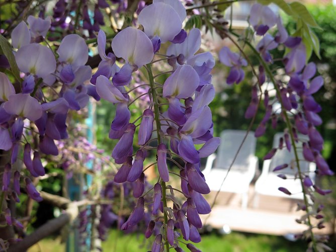 Wetter-Bild (Foto: nnz) Wetter-Bild (Foto: nnz)