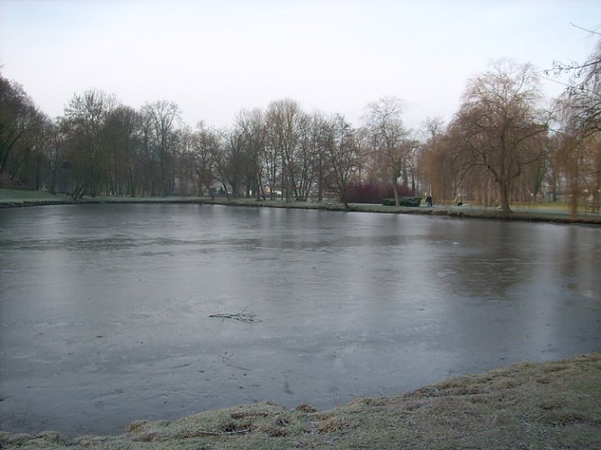 Geschlossene Eisdecke (Foto: Karl-Heinz Herrmann)