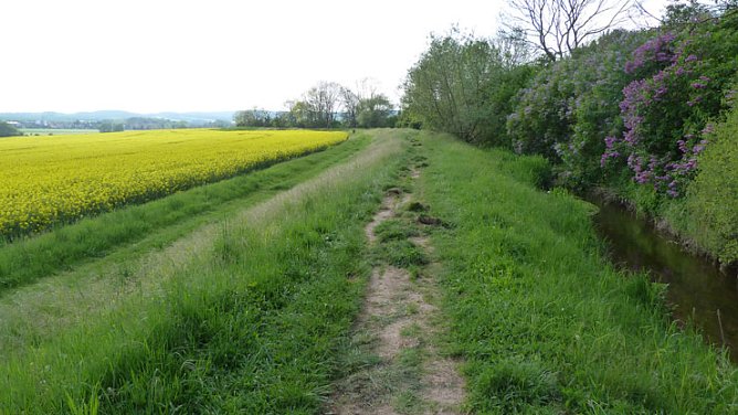Gro&szlig;e Frechheit (Foto: Privat)