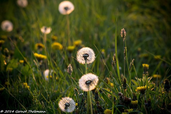 Wetter-Bild (Foto: Gernot Thelemann) Wetter-Bild (Foto: Gernot Thelemann)