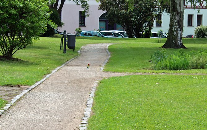 Papageien in Bad Frankenhausen (Foto: Karl-Heinz Herrmann)
