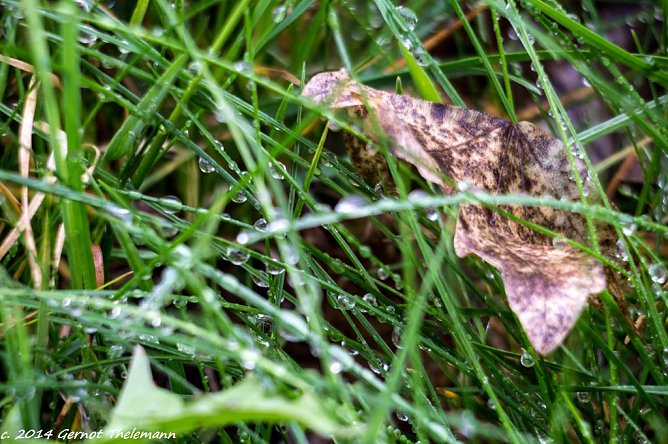 Wetter-Bild (Foto: Gernot Thelemann)
