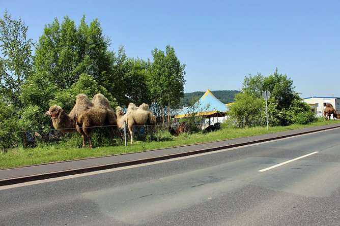 Dies und das am Wegesrand (Foto: Karl-Heinz Herrmann)