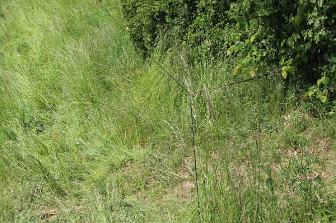 Abschluss&uuml;bung und feierlicher Appell (Foto: Karl-Heinz Herrmann)