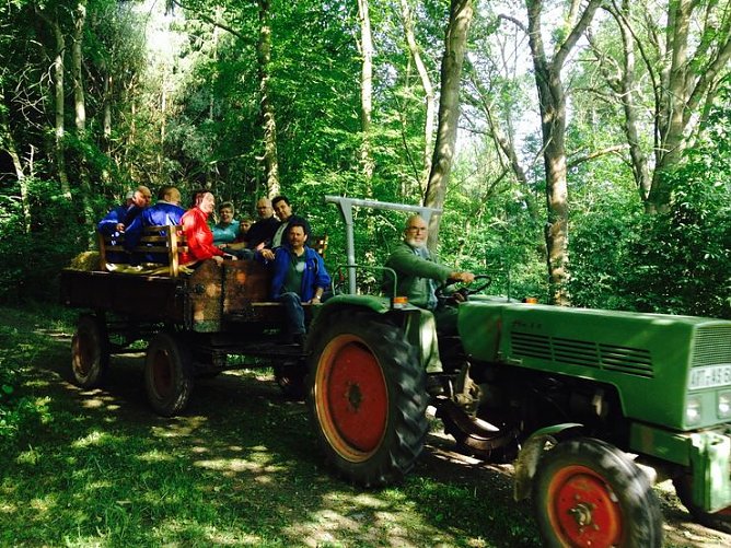 Mutzenbrunnen herausgeputzt (Foto: Silvana Schäffer) Mutzenbrunnen herausgeputzt (Foto: Silvana Schäffer)