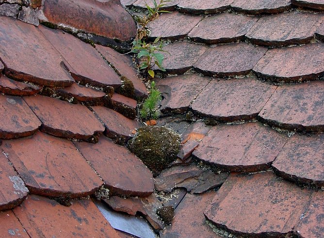 Schlechter Zustand (Foto: HF Redaktion) Schlechter Zustand (Foto: HF Redaktion)