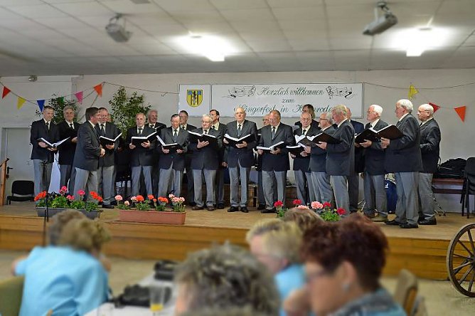 Sängerfest Mai 2014 (Foto: Siegfried Wenzel) Sängerfest Mai 2014 (Foto: Siegfried Wenzel)